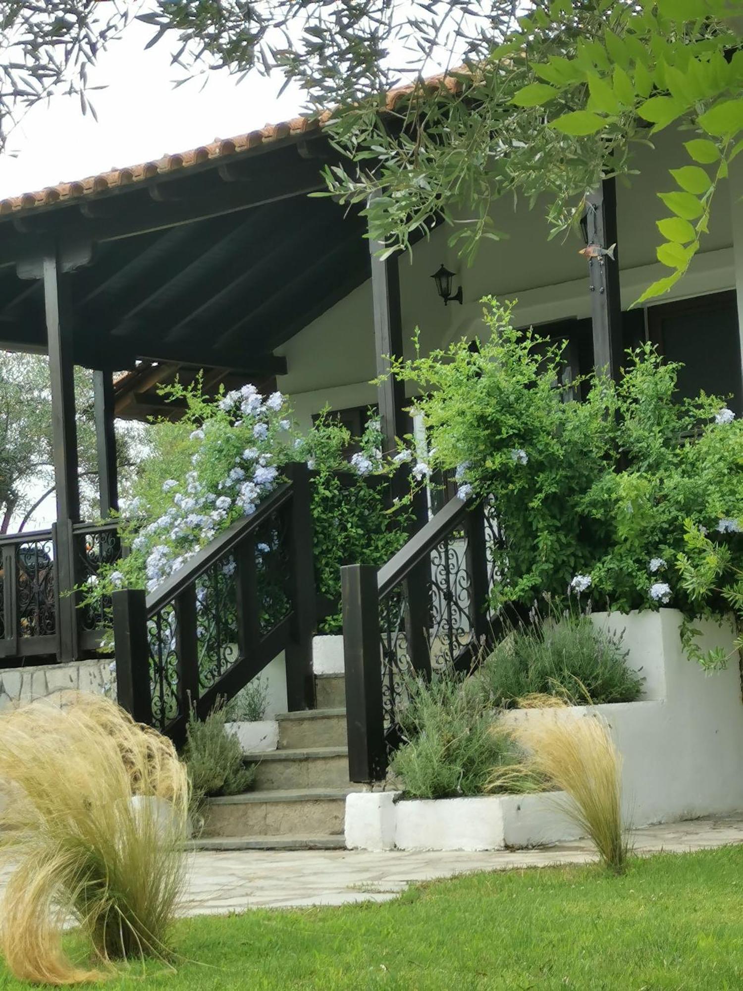 Villa Joy أورموس باناجياس المظهر الخارجي الصورة