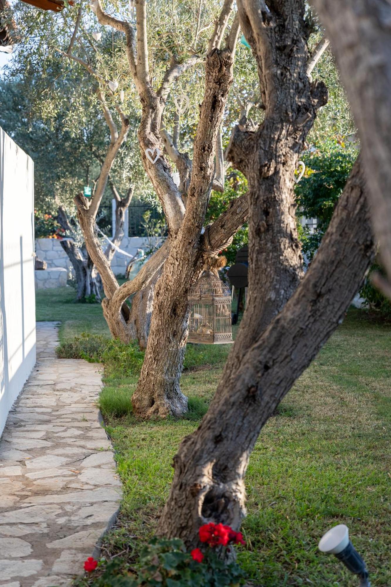 Villa Joy أورموس باناجياس المظهر الخارجي الصورة